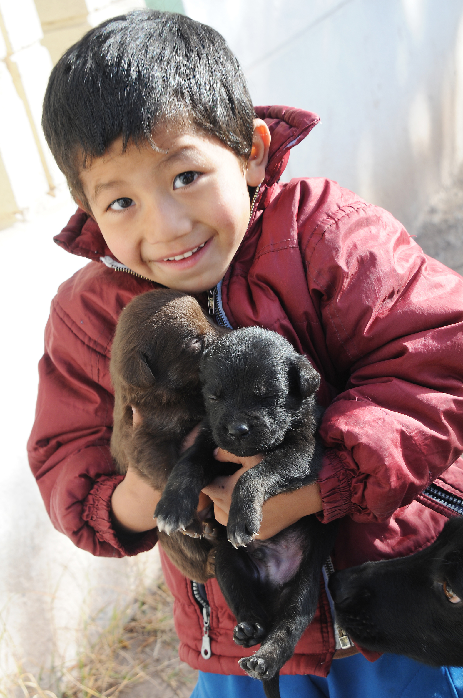 Mascotas esterilizadas y sanas, visita quirofano móvil por tu barrio