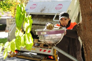 Domingo 1 de mayo no habrá recolección. Colabore evitando sacar bolsas a la vía pública.