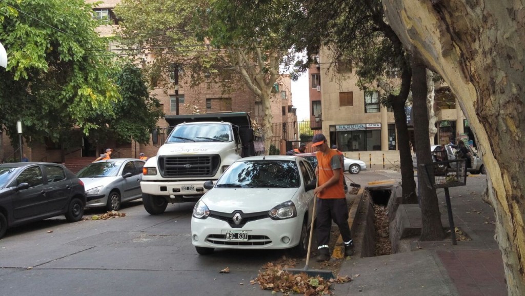 limpieza post zonda 3