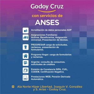 anses anses