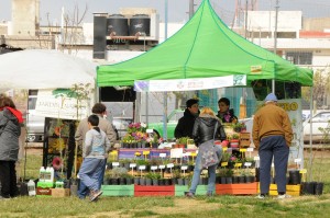 expo arbol 20