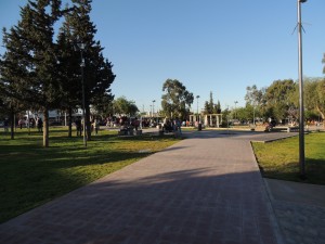 Simionato1