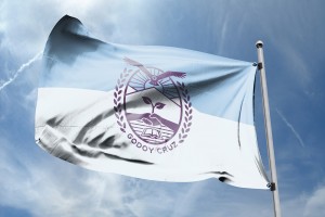 nueva bandera gc