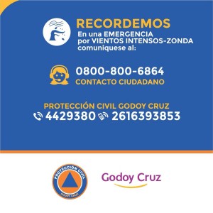 placa zonda
