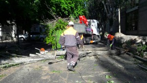 trabajo tras el zonda