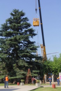 arbol navideño