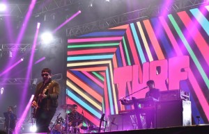 turf fiesta cerveza 2