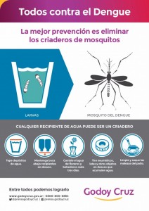 placa dengue