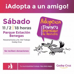 adopta un amigo 11 febrero