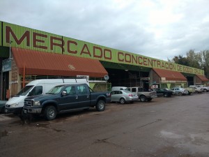 Mercado de Concentración