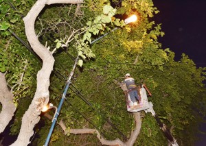 13f04cb7-1a59-4d0d-a775-7b6827d4613e