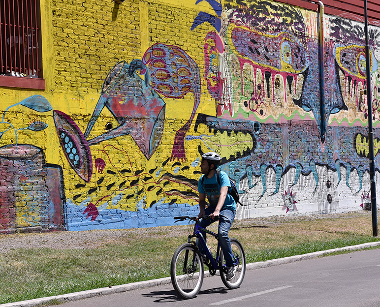 bicicleta