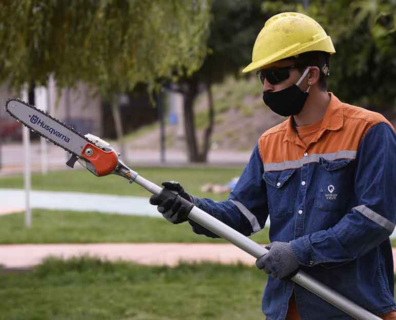 La poda anual en Godoy Cruz es más sustentable con el uso de herramientas eléctricas