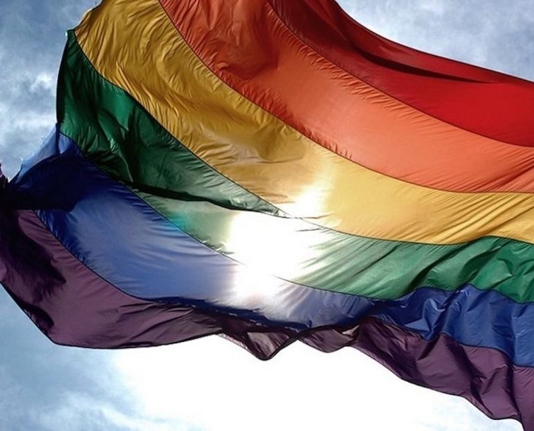 bandera inclusion