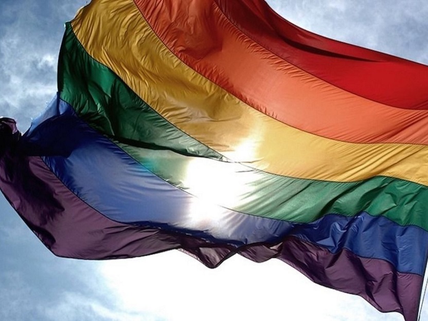 bandera inclusion