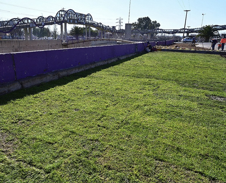 espacio verde 8 de diciembre