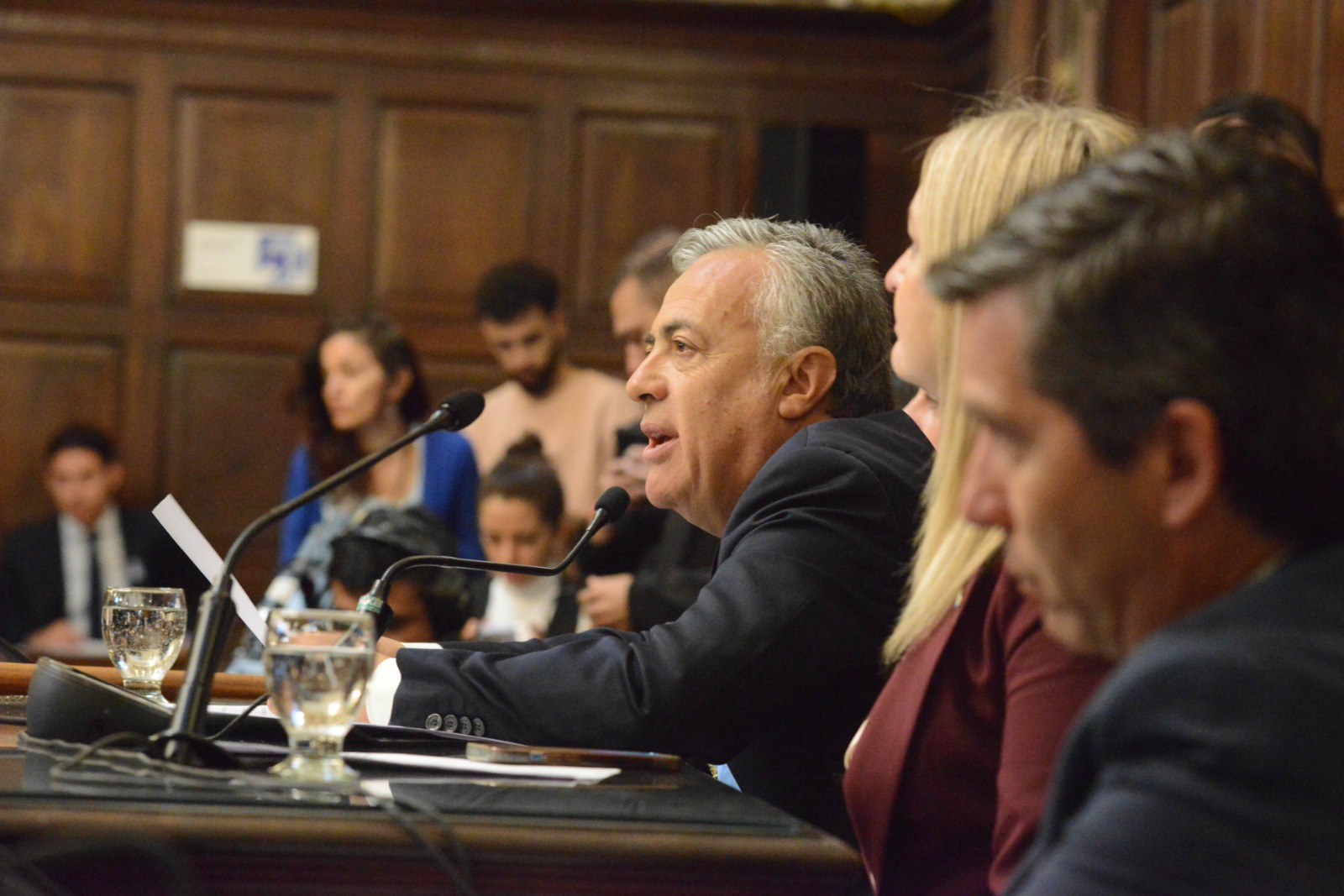 cornejo en la legislatura