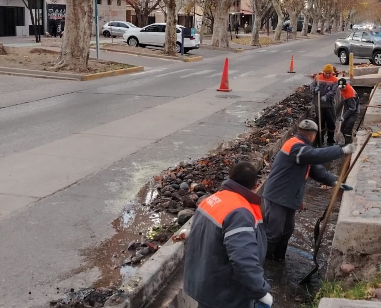 limpieza calle sarmiento