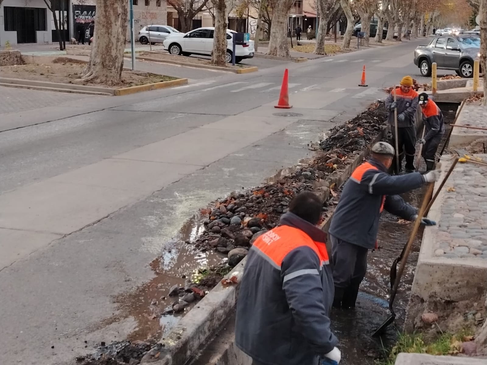 limpieza calle sarmiento